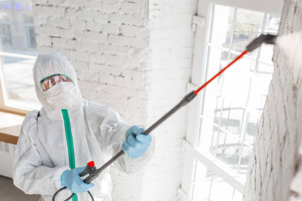 Best Emergency Mold Remediation in Hanover, MN